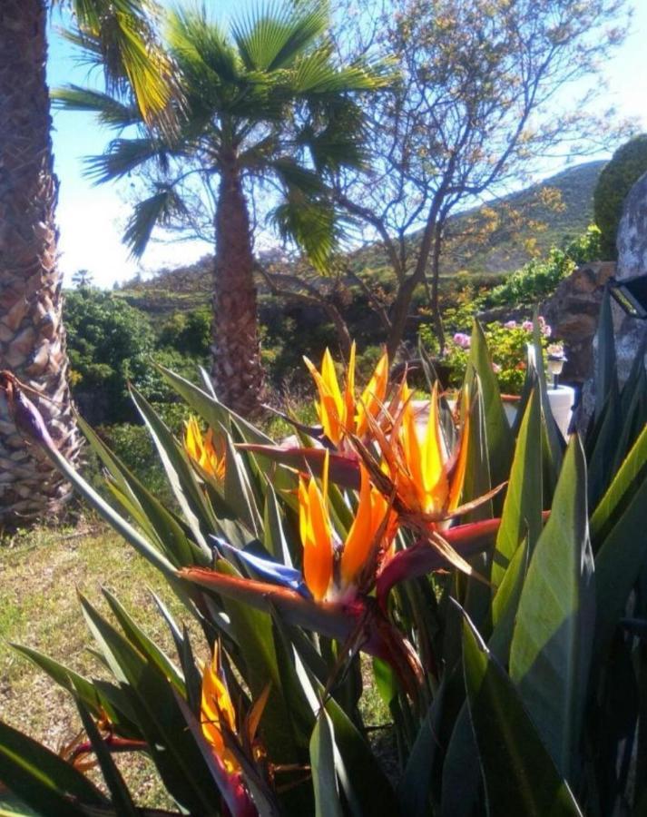 La Casita Ma Petite Folie Tenerife Santa Cruz de Tenerife Exterior foto